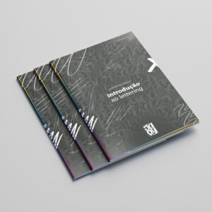 (LIVRETO) Introdução ao Lettering | volume 1